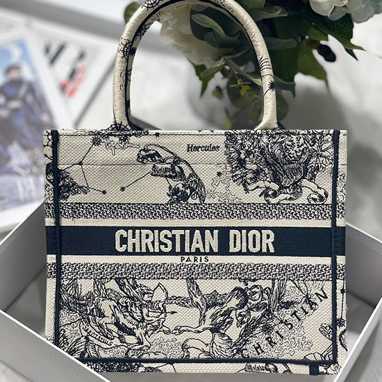 Borsa Piccola Per Libri Dior Ms12863