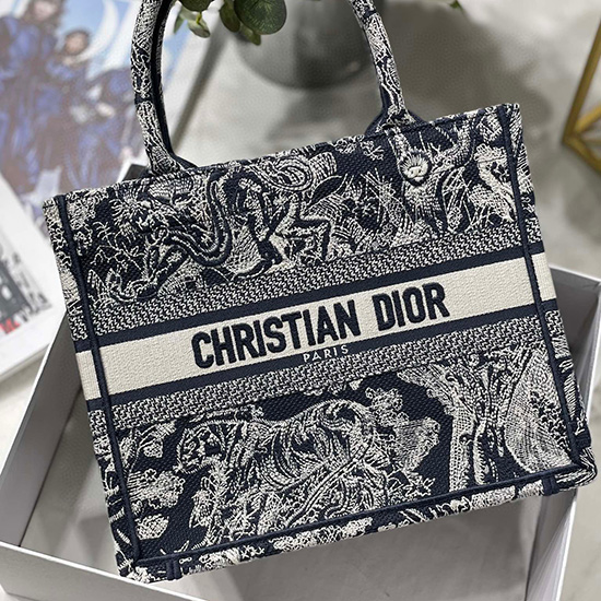 Borsa Piccola Per Libri Dior Ms12864