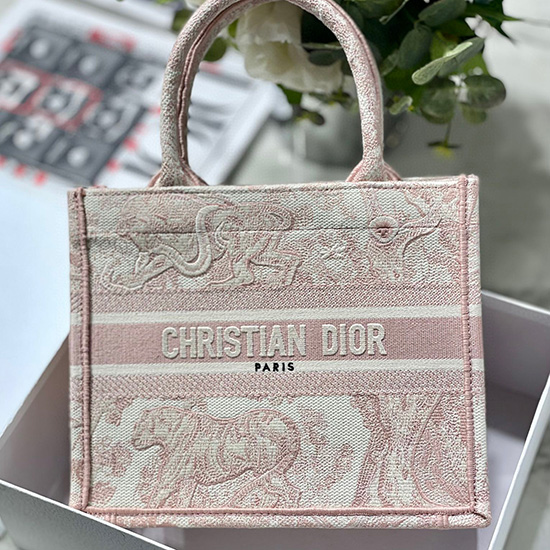 Borsa Piccola Per Libri Dior Ms12865