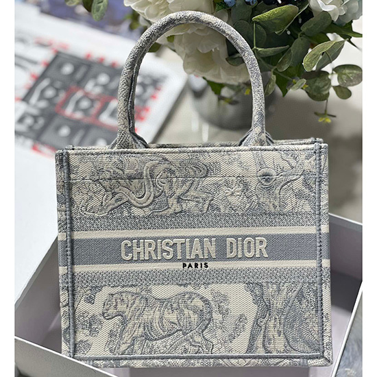 Borsa Piccola Per Libri Dior Ms12867