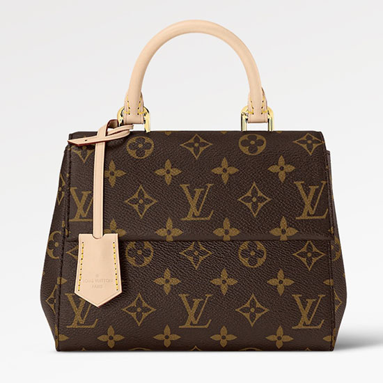 Louis Vuitton Cluny Mini M46055