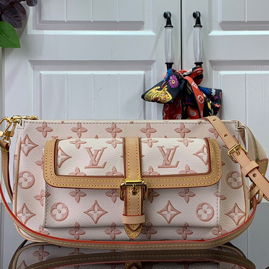 Louis Vuitton Maxi Multi Pochette Accessori Beige M20920