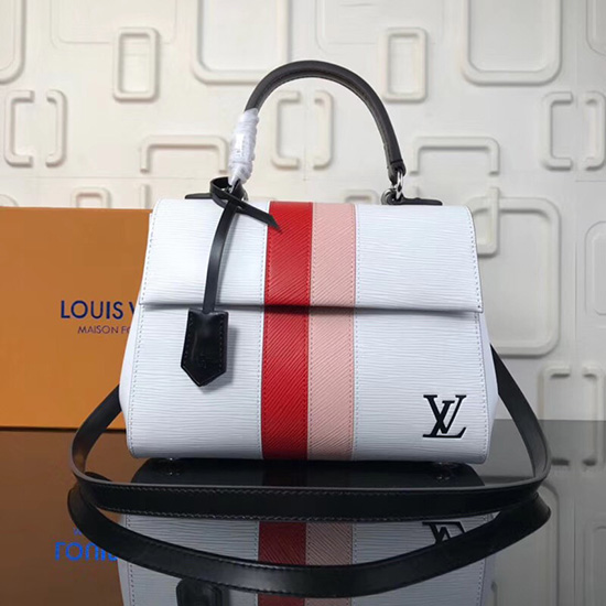 Louis Vuitton Pelle Epi Cluny Bb Bianco M41305