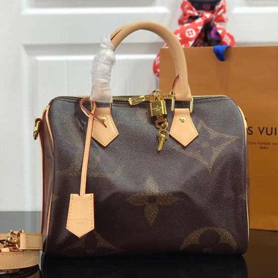 Louis Vuitton Speedy Bandoulière 25 M41113