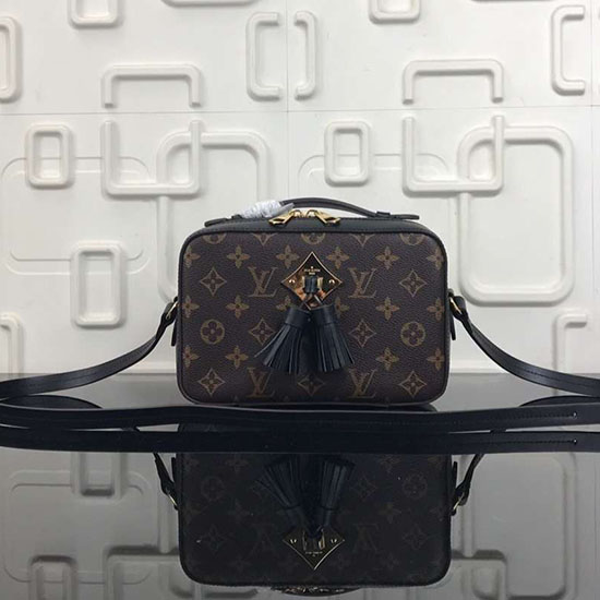 Louis Vuitton монограм платнен калъф за камера чанта черна M44258