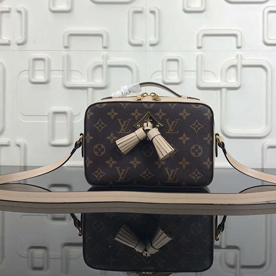 платнена чанта за фотоапарат с монограм на Louis Vuitton сива M44258