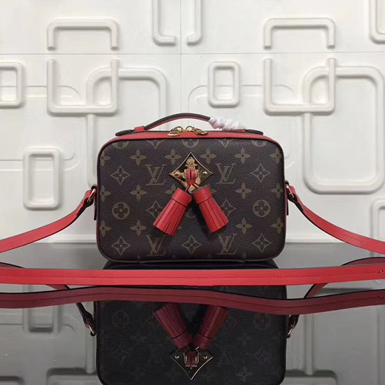 платнена чанта за фотоапарат с монограм на Louis Vuitton червена M44258