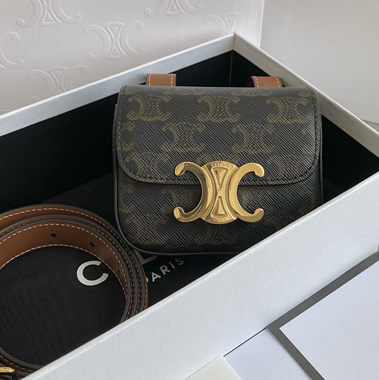 чанта за кръст Celine Mini Triomphe C35020