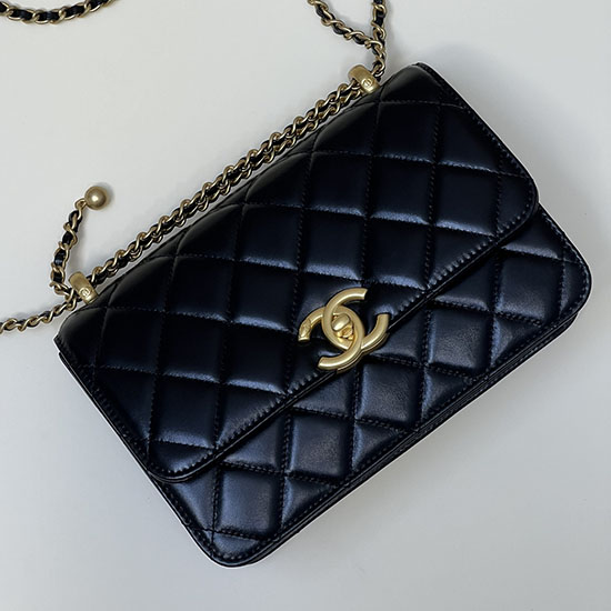 Chanel Small Flap Bag Black As2649