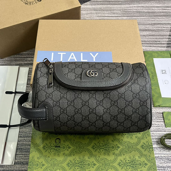 Gucci Ophidia Toaletní Pouzdro 739670