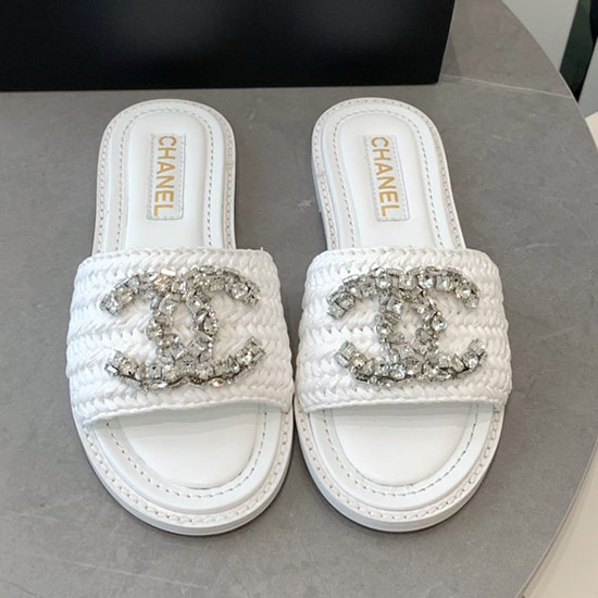 Chanel Slides Sdc043001