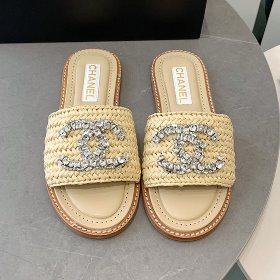 Chanel Slides Sdc043003