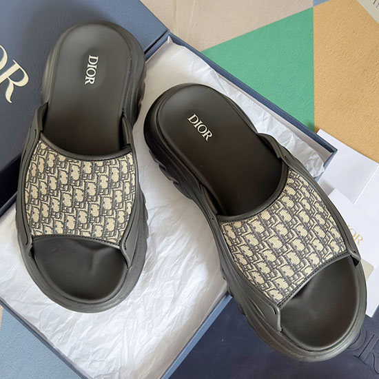 Dior Slides Sort Snd062201