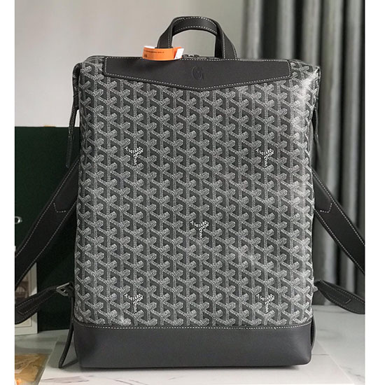 Goyard Cisalpin Rygsæk Gy020225 Grå