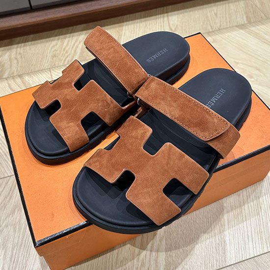 Hermes Slides Msh041606