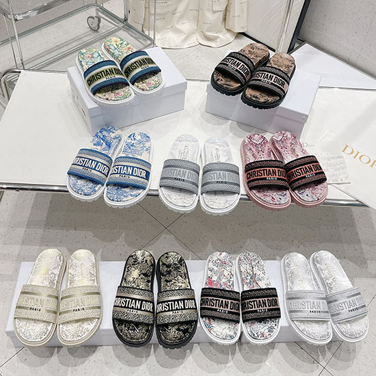 Dior-Slides Ds0406