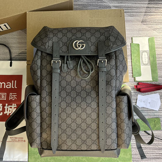 Gucci Ophidia GG Mittlerer Rucksack Grau 598140