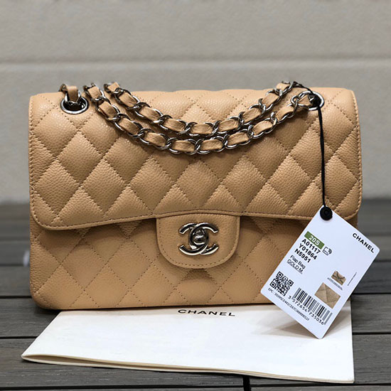 Kleine Klassische Chanel-Klappentasche In Beige Mit Silber A01117