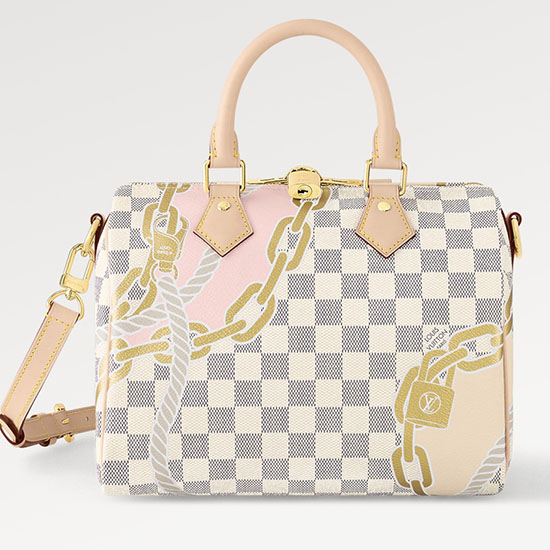 Louis Vuitton Speedy Bandouliere 25 N40473