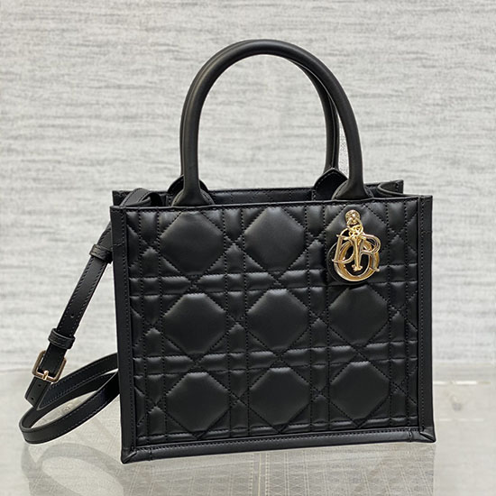 μικρό βιβλίο Dior Tote S1324