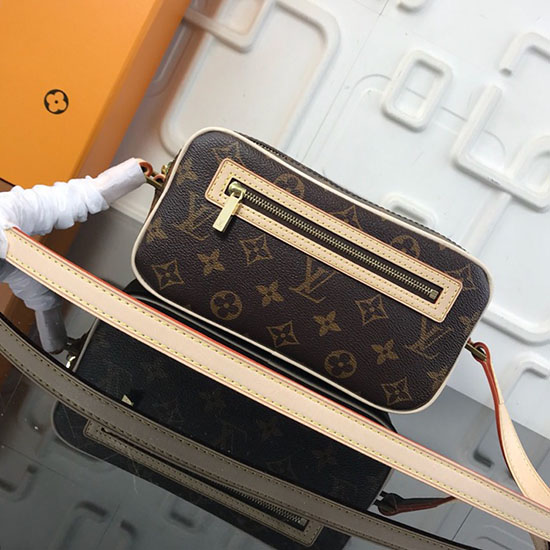 μονόγραμμα Louis Vuitton καμβάς Pochette Cite M51183