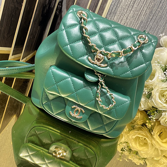 Chanel Small Duma Drawstring Backpack Green AS2908