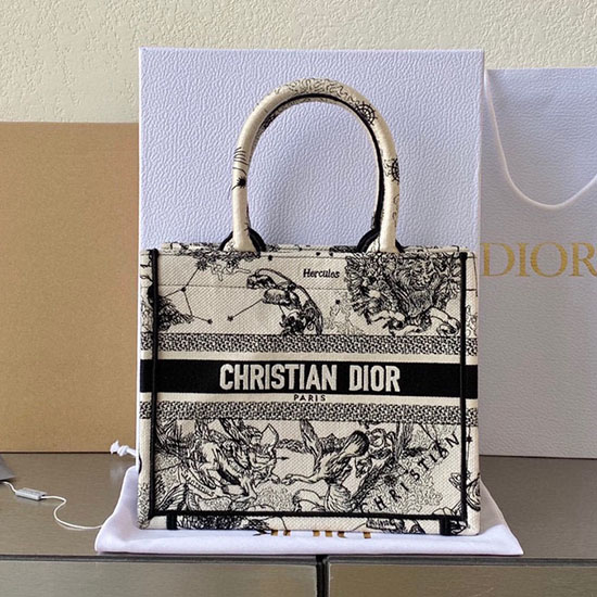 Small Dior Book Tote M1287D02