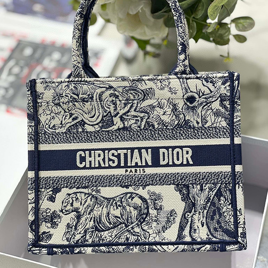 Small Dior Book Tote MS12866