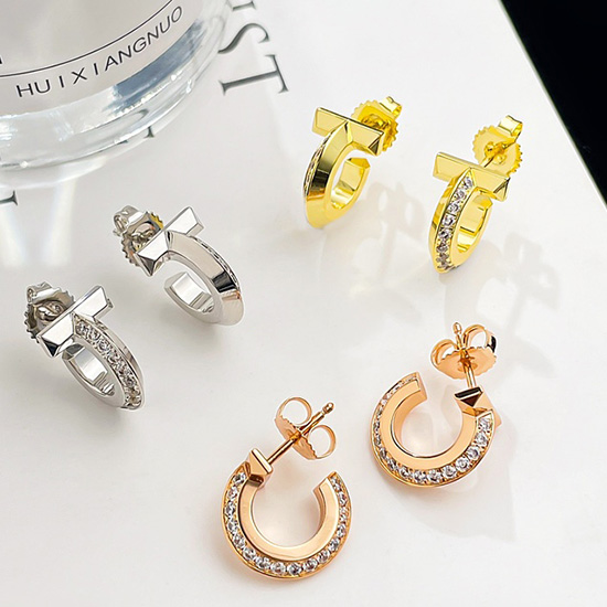 Tiffany Earrings TE01