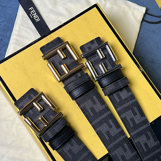 Fendi Vyö Fb062803