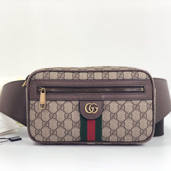 Gucci Ophidia Gg Vyölaukku 574796