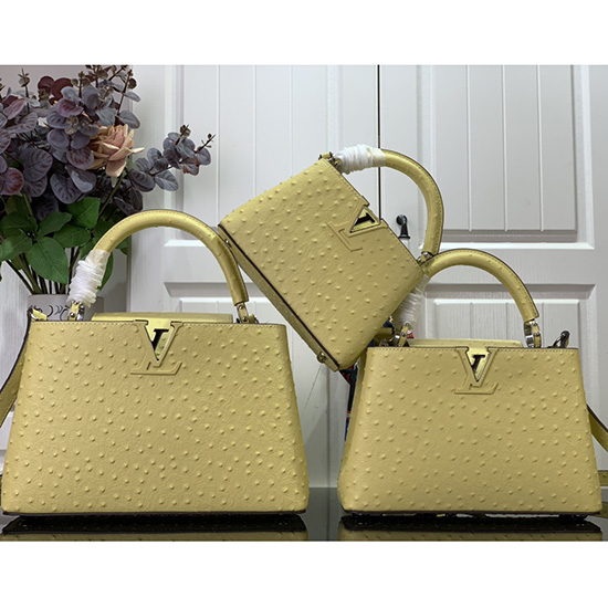 Louis Vuitton Kohokuvioitu Strutsi Capucines Keltainen N93419