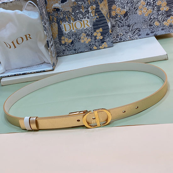 Ceinture Dior 20 Mm Db04172