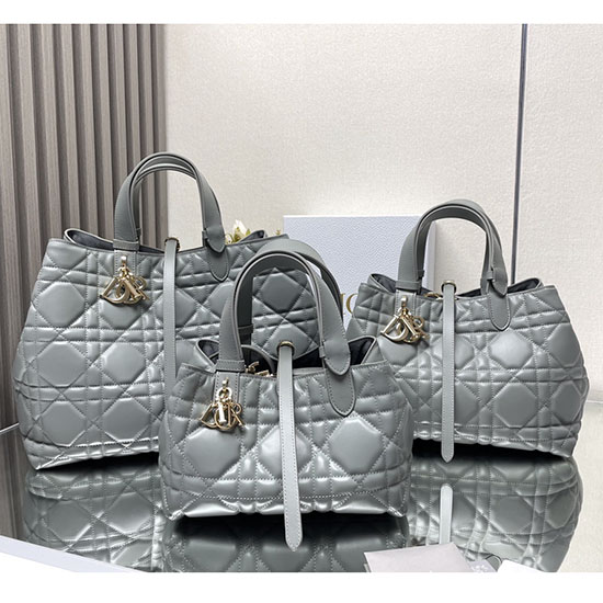 Grand Sac Dior Toujours Gris Pierre M3319