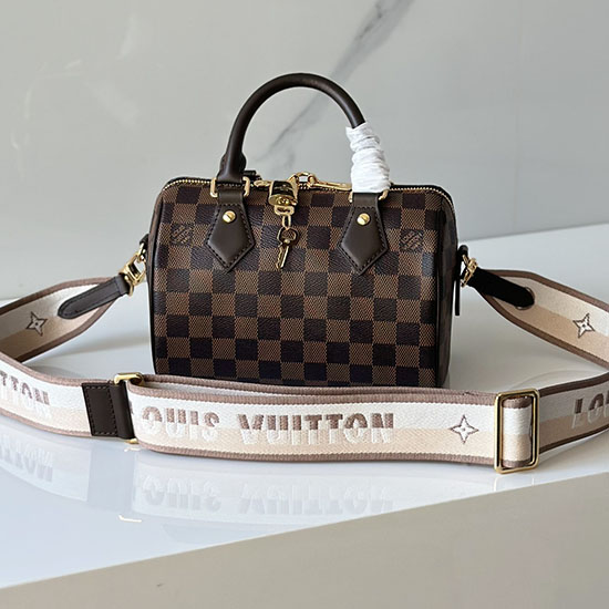 Louis Vuitton Damier ébène Speedy 20 N40489