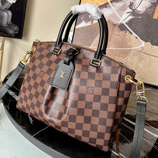 Louis Vuitton Odeon Cabas Pm N45282