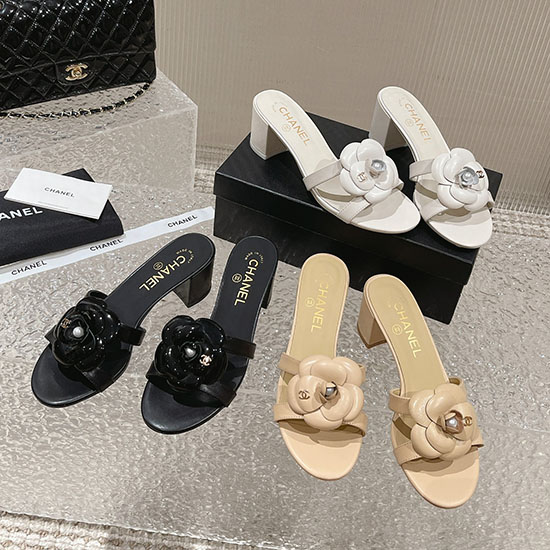 Chanel Mules Aqcs031806