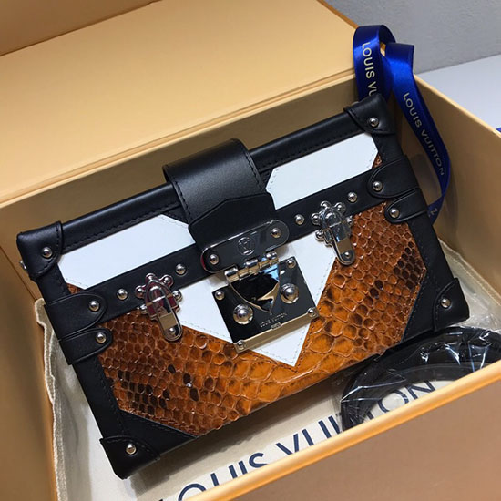 Louis Vuitton Petite Malle N93800