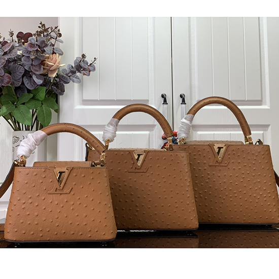 Louis Vuitton Struisvogelcapucines In Reliëf Bruin N93419