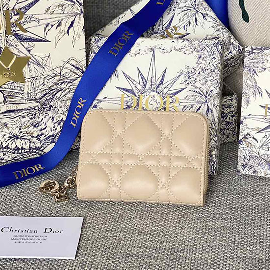 Bolsa De Moedas Pequena Senhora Dior Pele De Cordeiro Voyageur Bege S0985