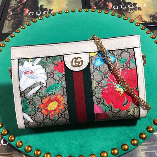 Bolsa De Ombro Pequena Gucci Ophidia Gg Flora 503877